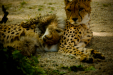 Thumbnail _mg_7548.jpg 