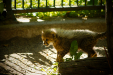 Thumbnail _mg_7072.jpg 