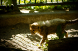 Thumbnail _mg_7073.jpg 