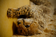 Thumbnail _mg_7723.jpg 