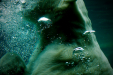 Thumbnail _mg_8039.jpg 