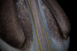 Thumbnail _mg_8260.jpg 