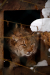 Thumbnail _mg_4447.jpg 