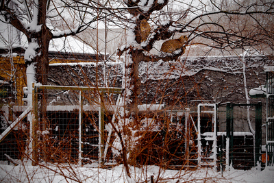_mg_4308-4327.gif 
