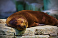 Thumbnail _mg_0362.jpg 