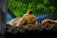 Thumbnail _mg_0373.jpg 