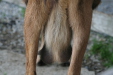 Thumbnail img_6467.jpg 