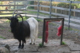 Thumbnail img_6468.jpg 