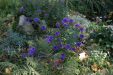 Thumbnail img_6504.jpg 